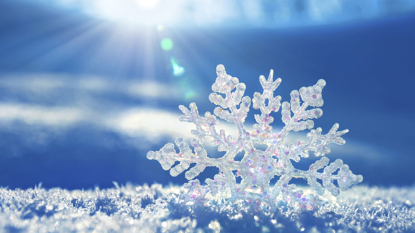 SchneeGrün bei der Arbeit: Winterdienst und Schneeräumdienst / Schneeräumung Fuhrpark